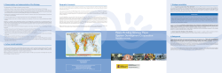 Peace Building Strategy Paper Spanish Development