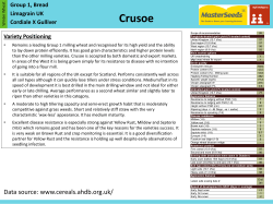 Crusoe PDF