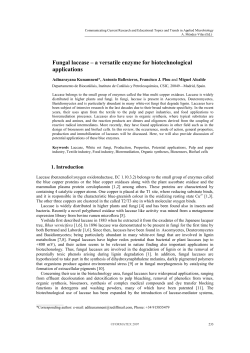Fungal laccase &ndash; a versatile enzyme for biotechnological applications