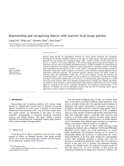 Representing and recognizing objects with massive local image