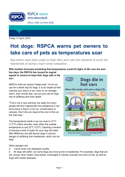 RSPCA warns pet owners to take care of pets as temperatures soar