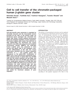 Cell to cell transfer of the chromatin-packaged human b