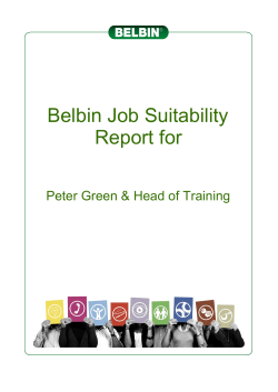Belbin Job Suitability Report for