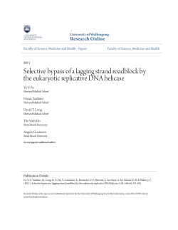 Selective bypass of a lagging strand roadblock by the eukaryotic