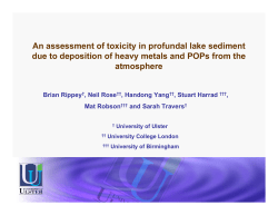 An assessment of toxicity in profundal lake sediment due to