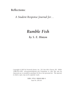 Rumble Fish - Response Journal Sample PDF