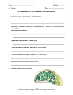 Guided Notes Chapter 10: Photosynthesis