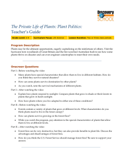 The Private Life of Plants: Plant Politics