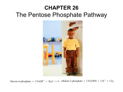 The Pentose Phosphate Pathway