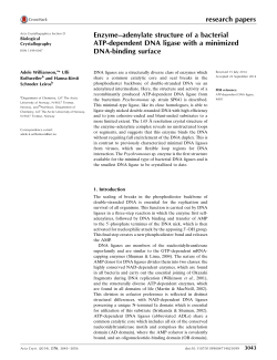Enzyme-adenylate structure of a bacterial ATP