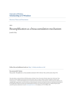 Bioamplification as a bioaccumulation mechanism