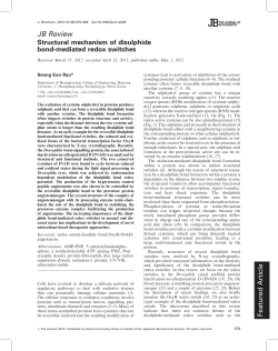 JB Review Featured Article - The Journal of Biochemistry
