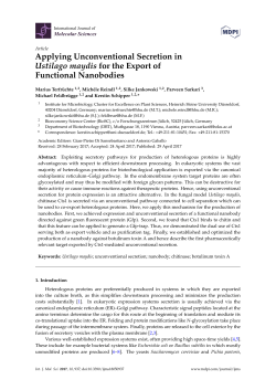 Applying Unconventional Secretion in Ustilago maydis for the Export