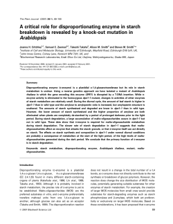 A critical role for disproportionating enzyme in starch breakdown is