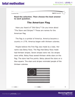 The American Flag