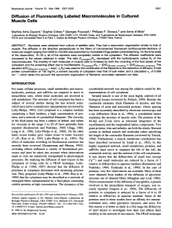 Diffusion of Fluorescently Labeled Macromolecules in Cultured