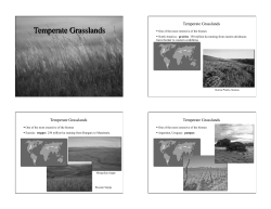 Temperate Grasslands