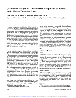 Quantitative Analysis of Ultrastructural Components of Nucleoli of