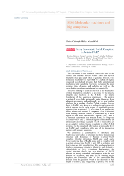 MS6 Molecular machines and big complexes