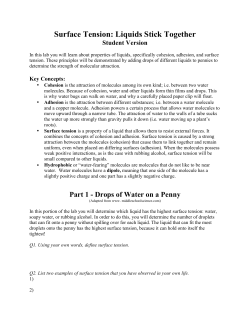 Surface Tension: Liquids Stick Together Student Version