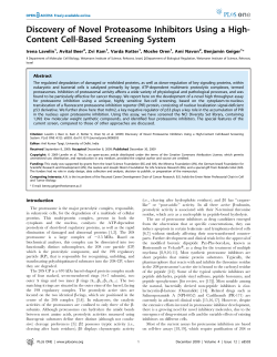 Discovery of Novel Proteasome Inhibitors Using a High