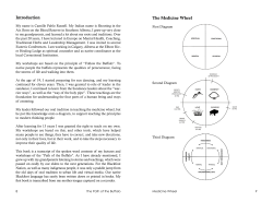 Introduction The Medicine Wheel