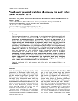 Novel auxin transport inhibitors phenocopy the auxin influx carrier