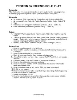 protein synthesis role play