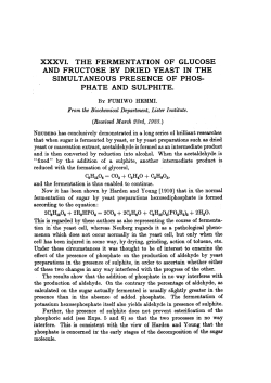 XXXVI. THE FERMENTATION OF GLUCOSE SIMULTANEOUS