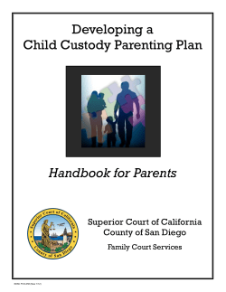 Developing a Child Custody Parenting Plan Handbook for Parents