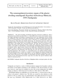 Pelzer, B., Dastych, H., and Greven, H. 2007. The