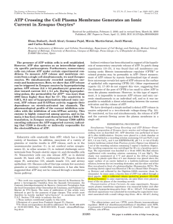 PL-100 use in ATP Crossing the Cell Plasma Membrane Generates