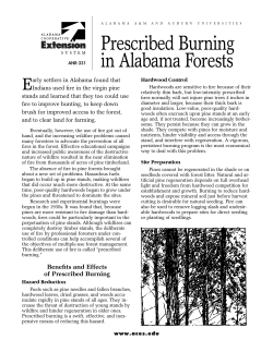 Prescribed Burning in Alabama Forests
