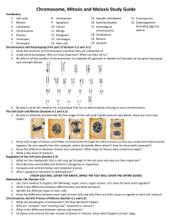 Chromosome, Mitosis and Meiosis Study Guide