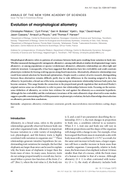 Evolution of morphological allometry