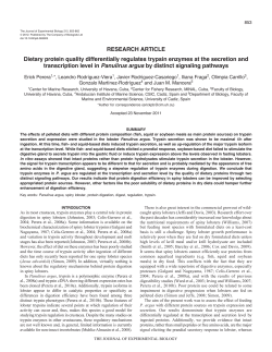 Dietary protein quality differentially regulates trypsin enzymes at the