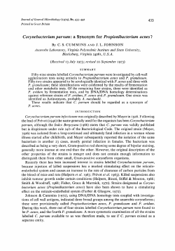 Corynebacterium parvum : a Synonym for Propionibacterium acnes ?