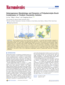 Heterogeneous Morphology and Dynamics of