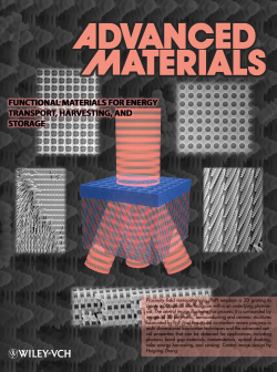 Adv. Mater. 10/2010 - Rogers Research Group