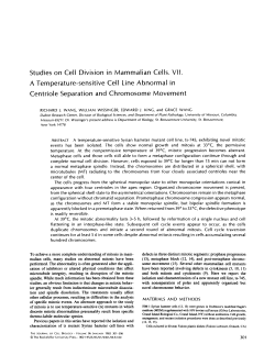 Studies on Cell Division in Mammalian Cells. VII. A