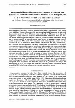 Differences in Microbial Decomposition Processes in Profundal and