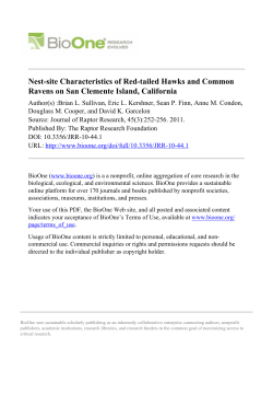Nest-site Characteristics of Red-tailed Hawks and Common Ravens