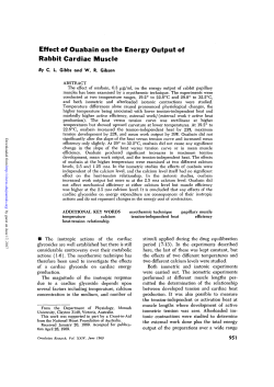 Effect of Ouabain on the Energy Output of Rabbit Cardiac Muscle