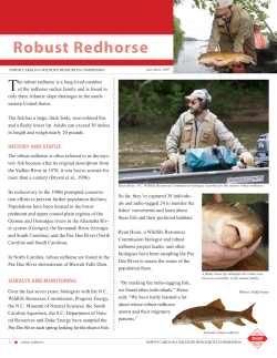 Robust Redhorse - North Carolina Wildlife Resources Commission