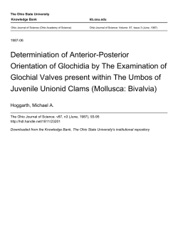 Determiniation of Anterior-Posterior Orientation of Glochidia by The