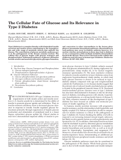 The Cellular Fate of Glucose and Its Relevance in Type 2 Diabetes