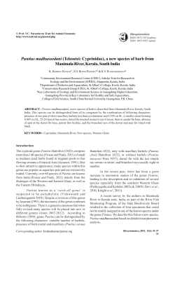 Puntius madhusoodani (Teleostei: Cyprinidae), a new species of