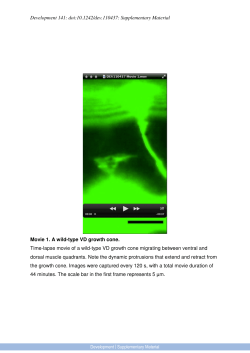 Supplementary Material