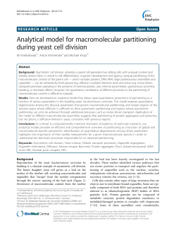 Analytical model for macromolecular partitioning during yeast cell
