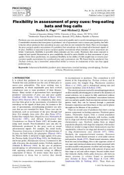 Flexibility in assessment of prey cues: frog